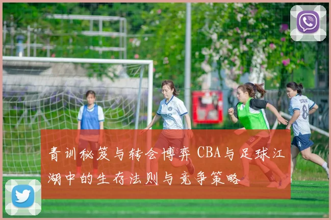 青训秘笈与转会博弈 CBA与足球江湖中的生存法则与竞争策略
